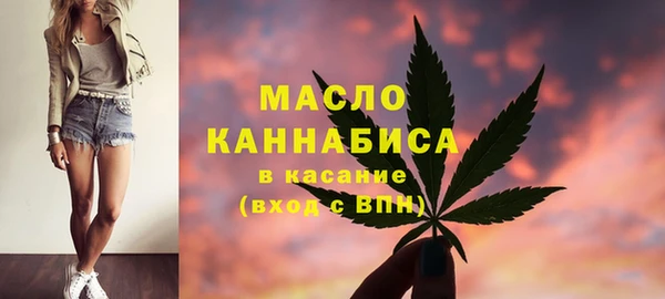индика Переславль-Залесский