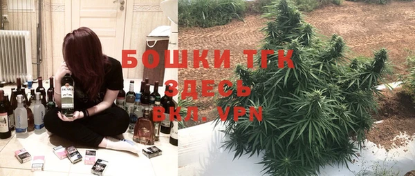 индика Переславль-Залесский