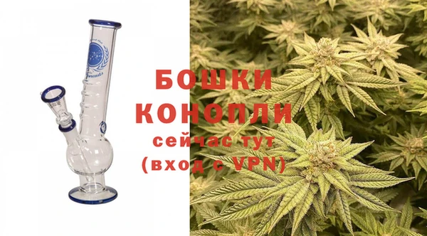 индика Переславль-Залесский