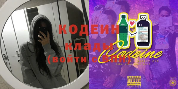 индика Переславль-Залесский