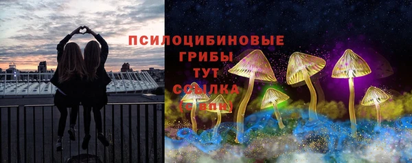 индика Переславль-Залесский