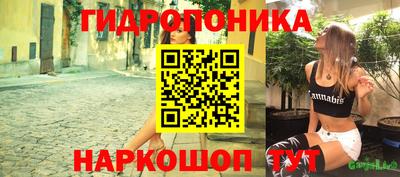 a pvp Дубна