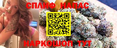 a pvp Дубна
