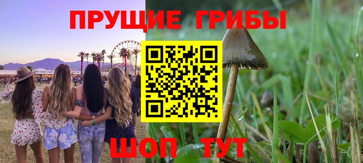 Мурманск  Псилоцибиновые грибы мицелий  Галлюциногенные грибы Cubensis  Вход с VPN 