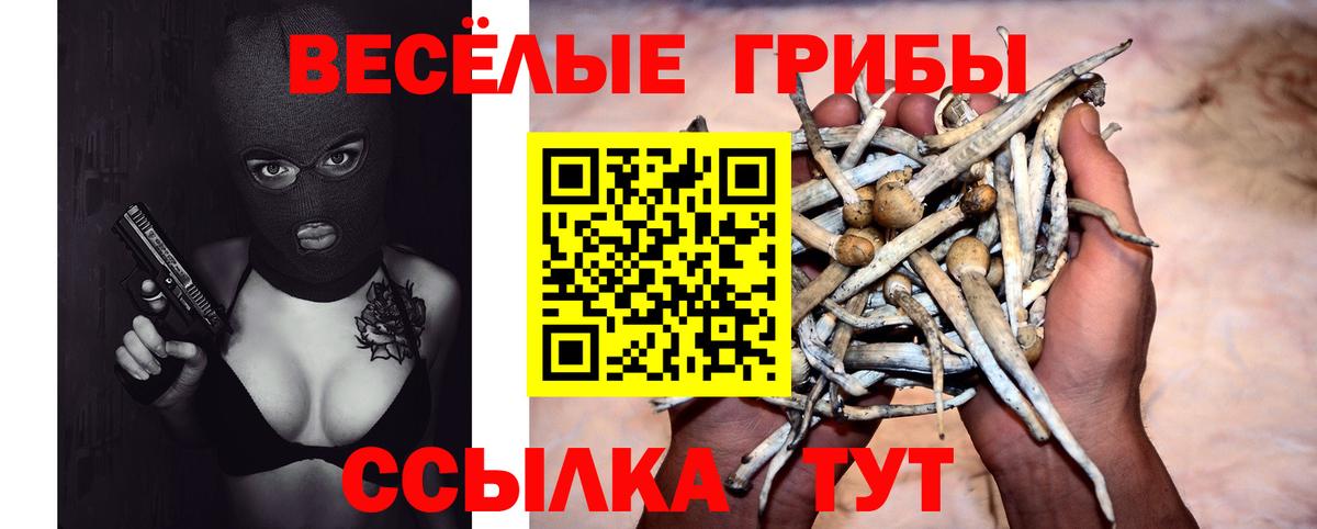 Псилоцибиновые грибы Magic Shrooms Мурманск