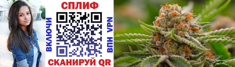 где найти   Мурманск  Канабис OG Kush 